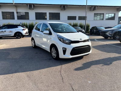 Kia Picanto 1.0 12V 5 porte Active del 2020 usata a Fondi