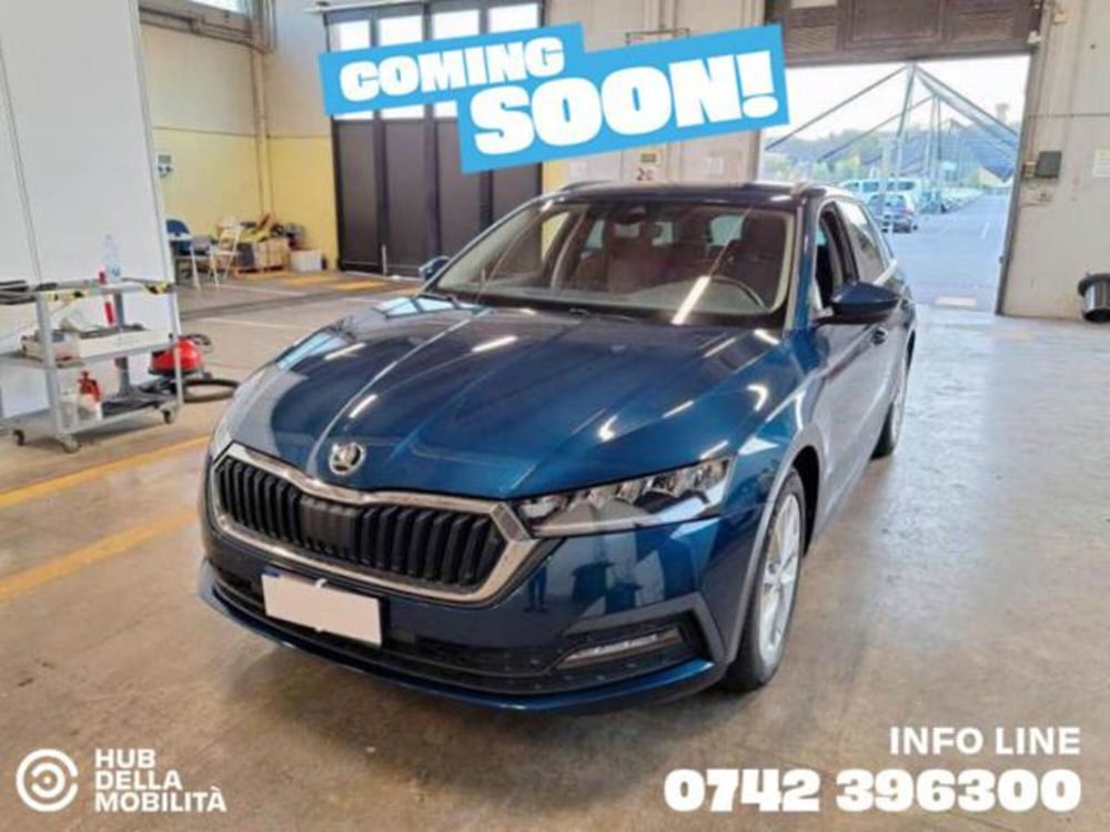 Skoda Octavia Station Wagon usata a Perugia (2)