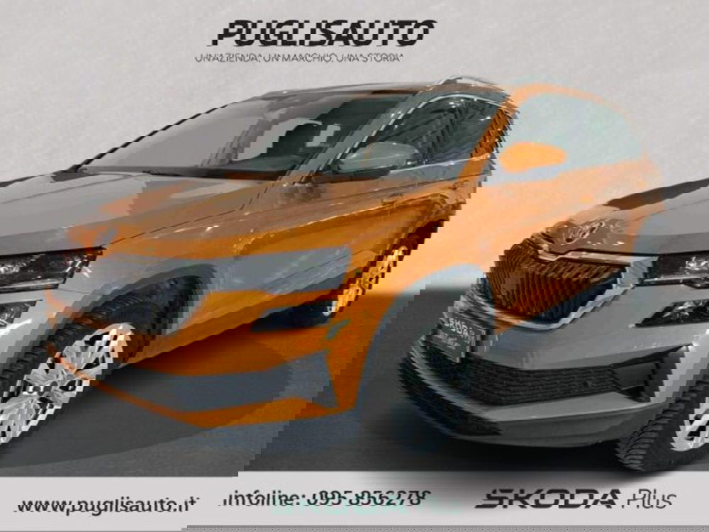 Skoda Karoq usata a Catania (3)