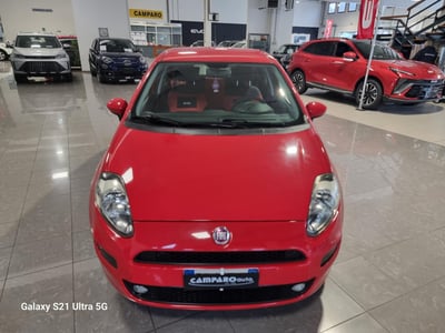 Fiat Punto 1.4 8V 5 porte Easypower Street del 2016 usata a Acqui Terme