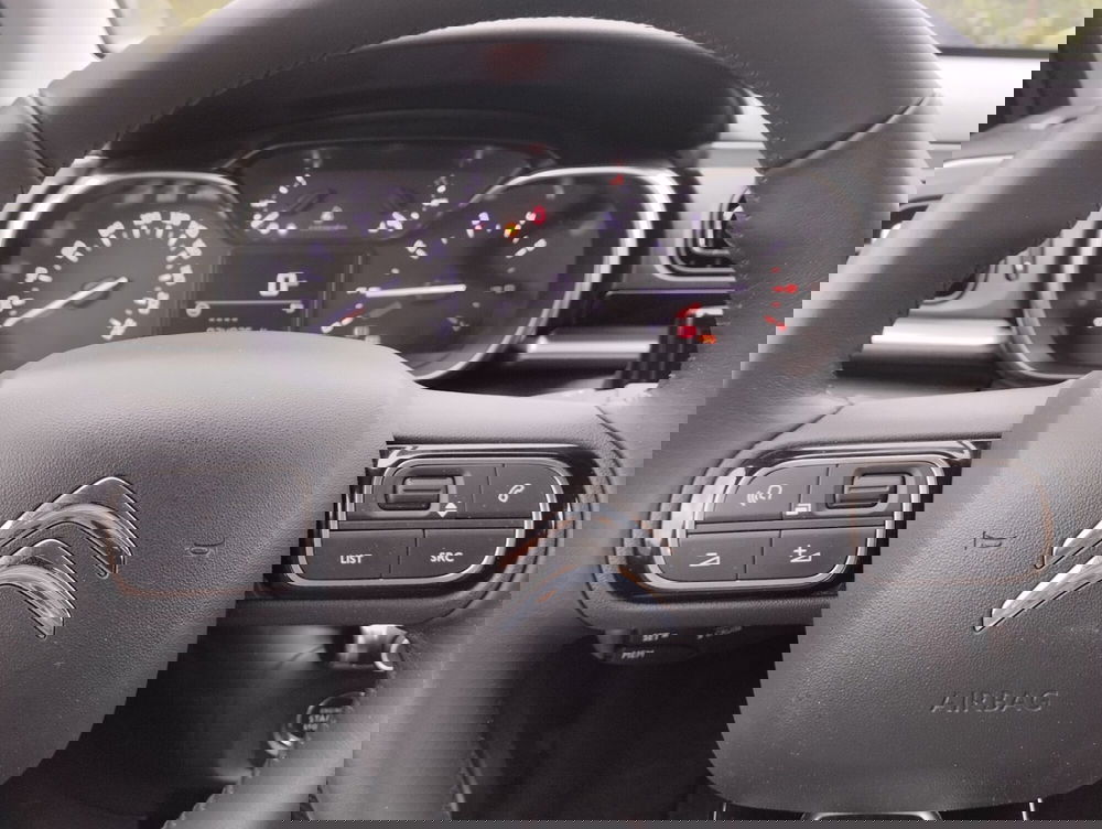 Citroen C3 usata a Asti (10)