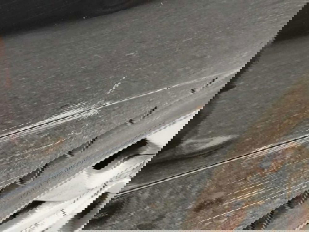 Citroen C4 Picasso usata a Sondrio (17)