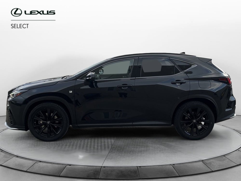 Lexus NX usata a Siracusa (2)