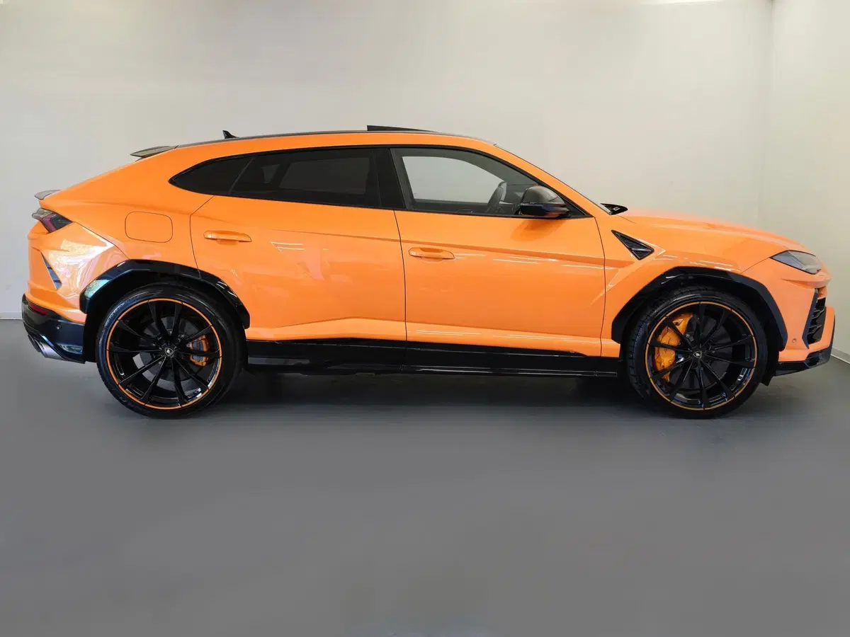 Lamborghini Urus usata a Bologna (2)