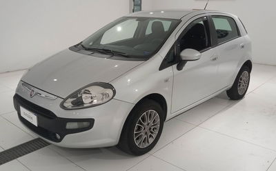 Fiat Punto Evo 1.4 5 porte Dynamic Natural Power del 2011 usata a Montebelluna