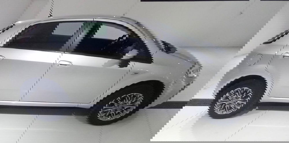 Fiat Punto Evo usata a Treviso (7)