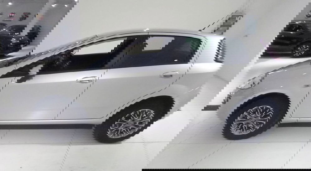 Fiat Punto Evo usata a Treviso (8)