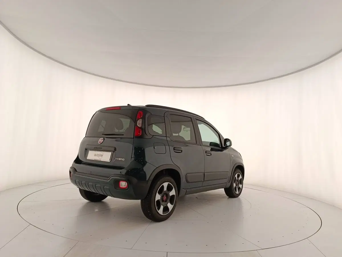 Fiat Panda Cross usata a Treviso (2)