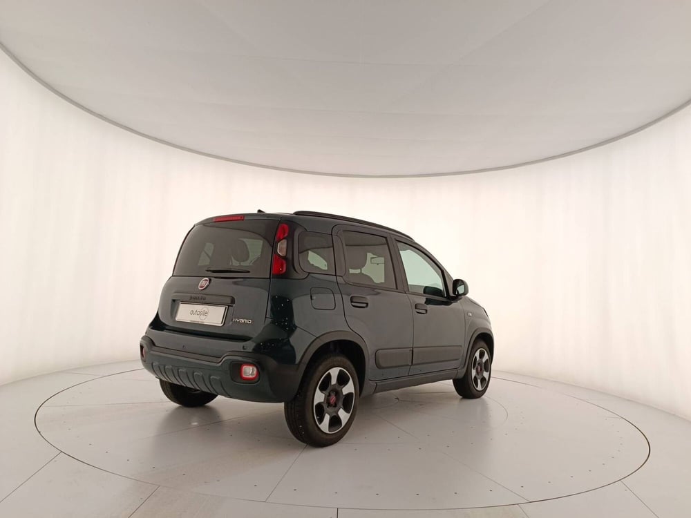 Fiat Panda Cross usata a Treviso (2)