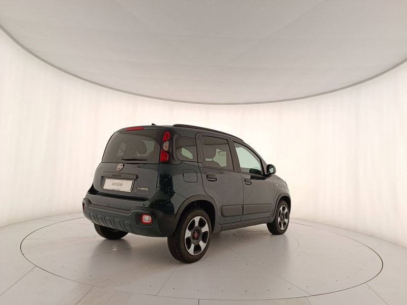 Fiat Panda Cross usata a Treviso (2)