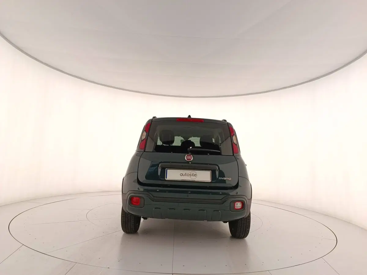 Fiat Panda Cross usata a Treviso (3)