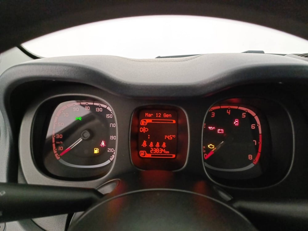 Fiat Panda Cross usata a Treviso (9)