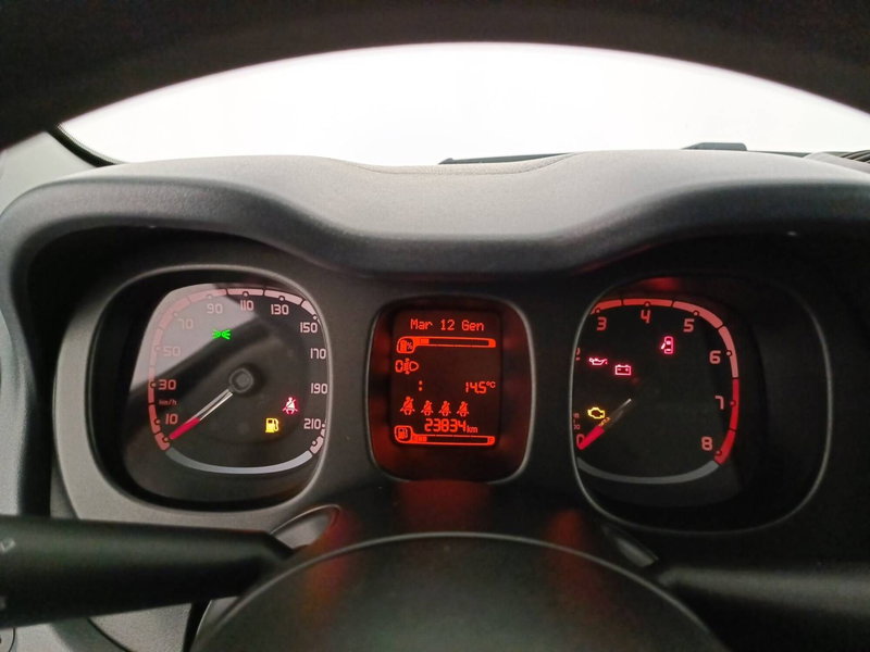 Fiat Panda Cross usata a Treviso (9)