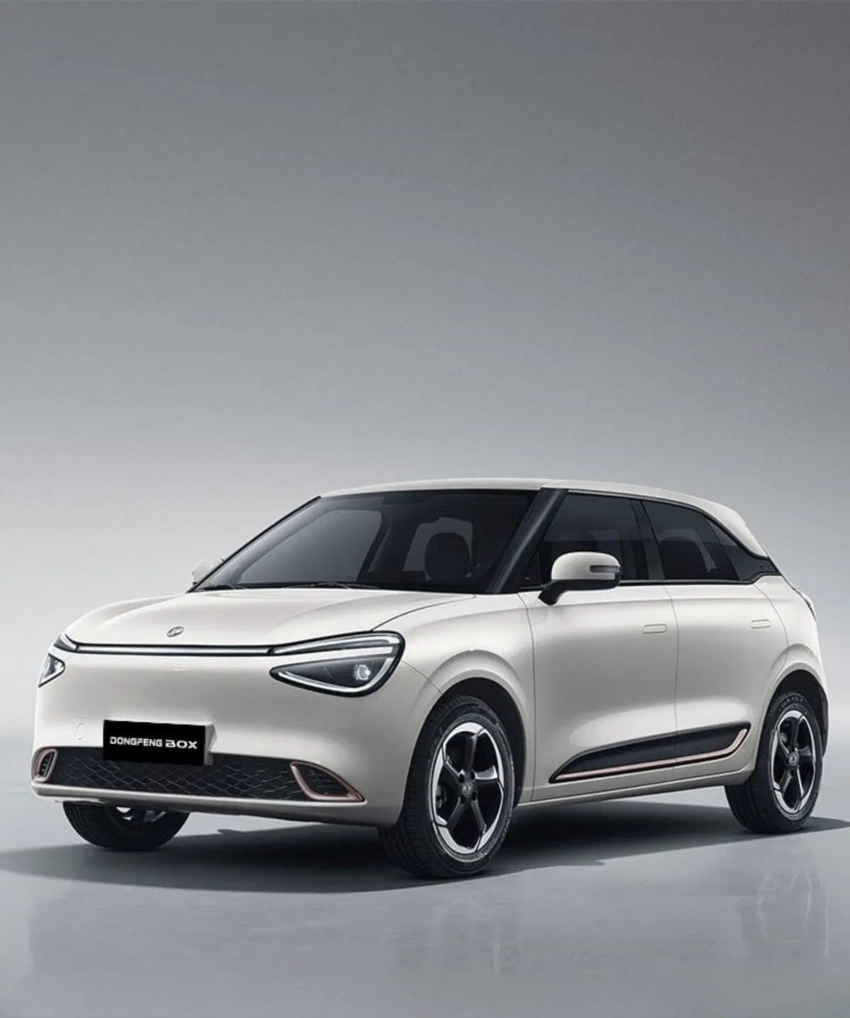 Dongfeng Box  nuova a Frosinone