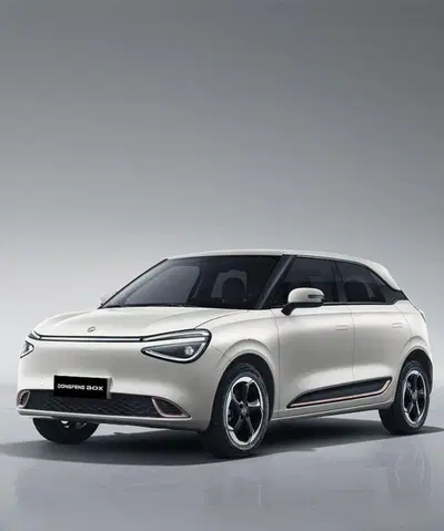 Dongfeng Box  Box 43,9 kWh nuova a Sora