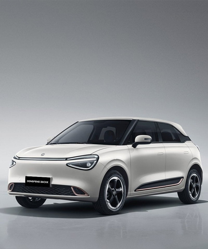 Dongfeng Box  nuova a Frosinone