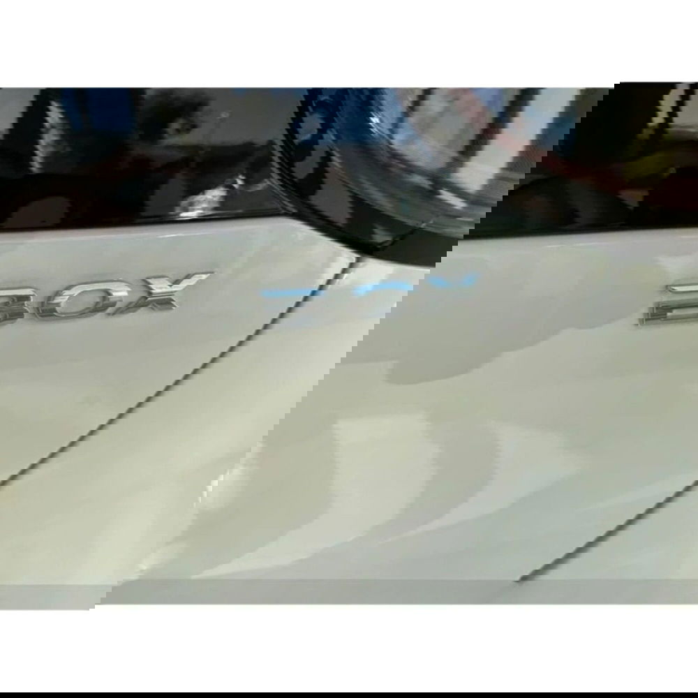 Dongfeng Box nuova a Frosinone (11)