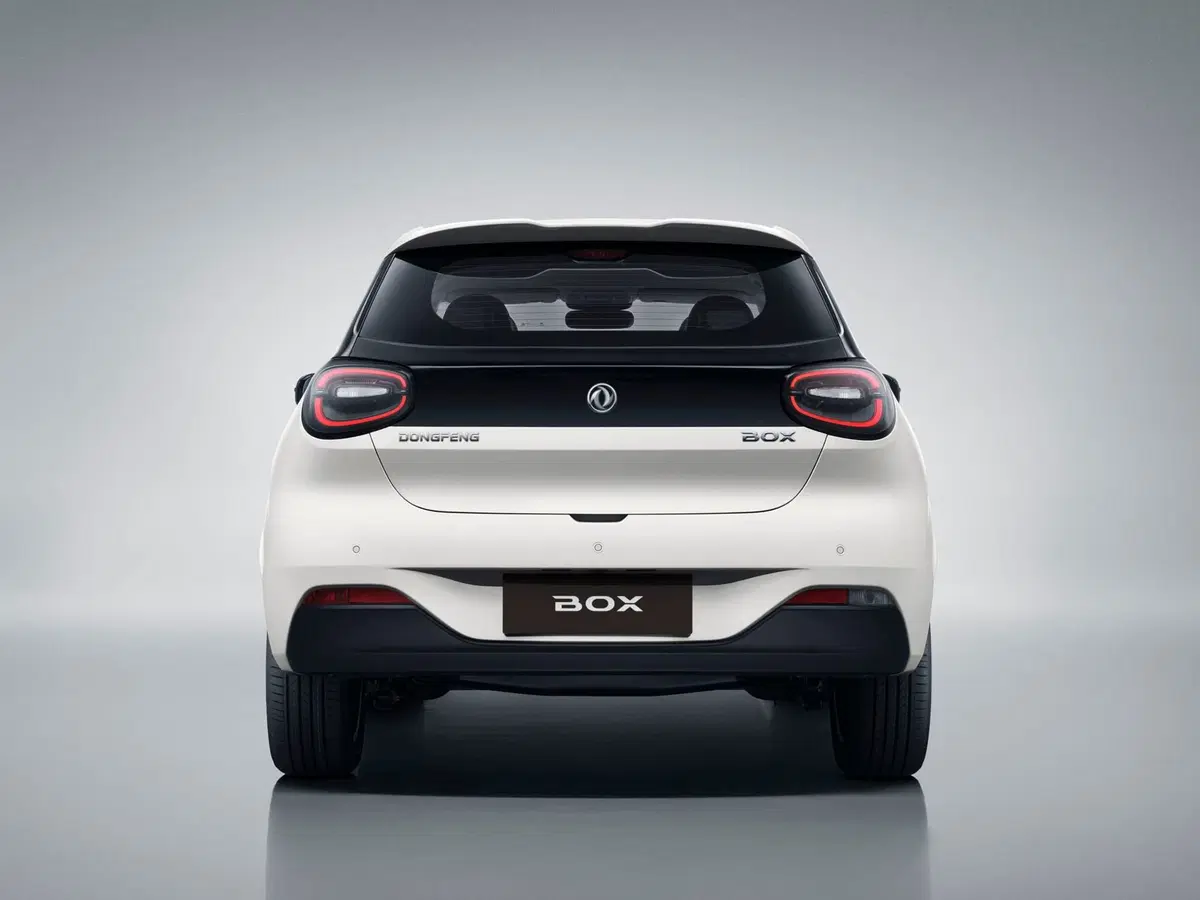 Dongfeng Box  nuova a Frosinone (2)