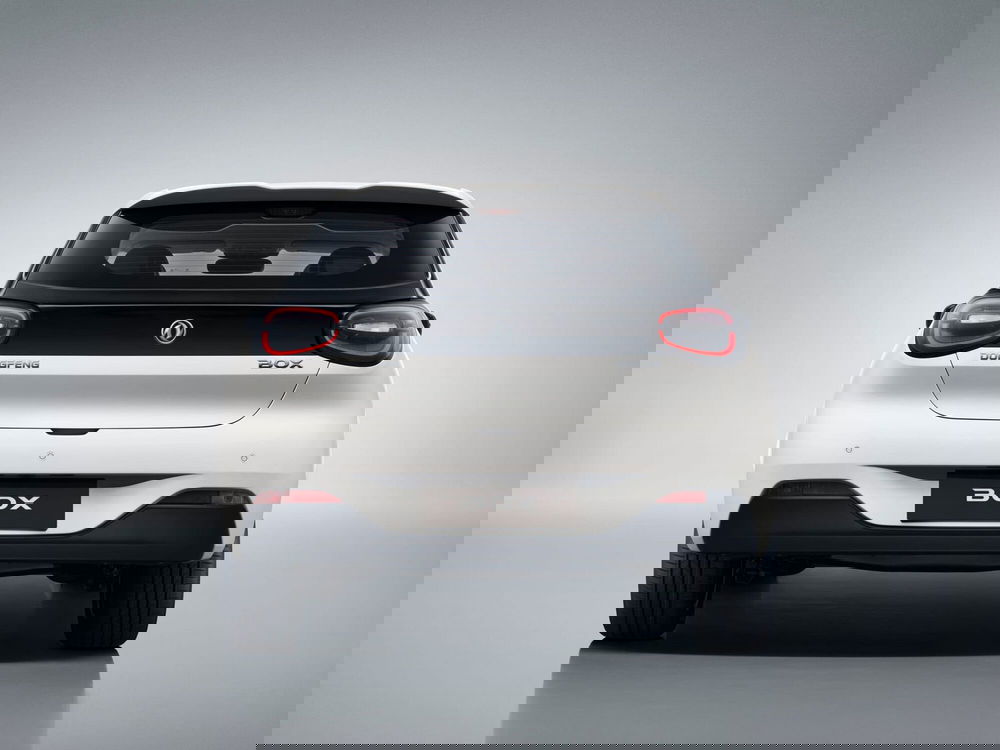 Dongfeng Box nuova a Frosinone (2)