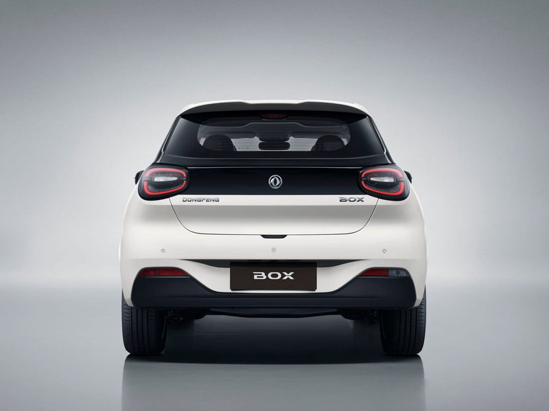 Dongfeng Box  nuova a Frosinone (2)