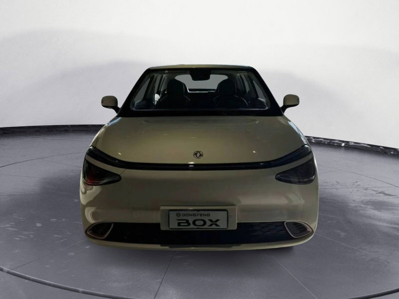 Dongfeng Box  nuova a Frosinone (3)