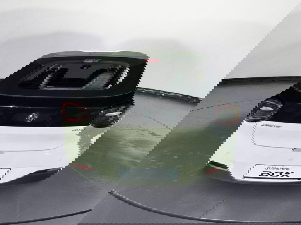 Dongfeng Box nuova a Frosinone (4)