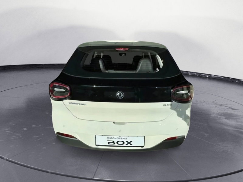 Dongfeng Box  nuova a Frosinone (4)