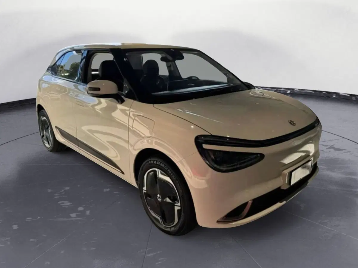 Dongfeng Box  nuova a Frosinone (6)