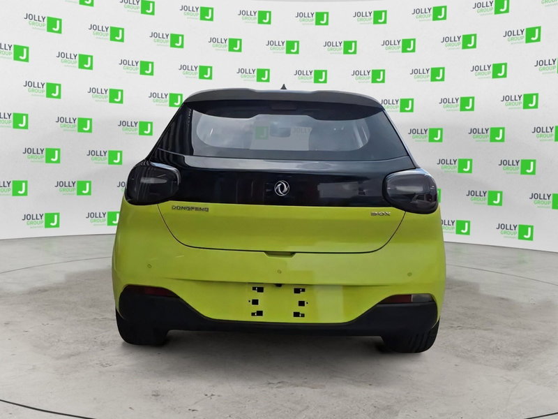 Dongfeng Box  nuova a Frosinone (5)