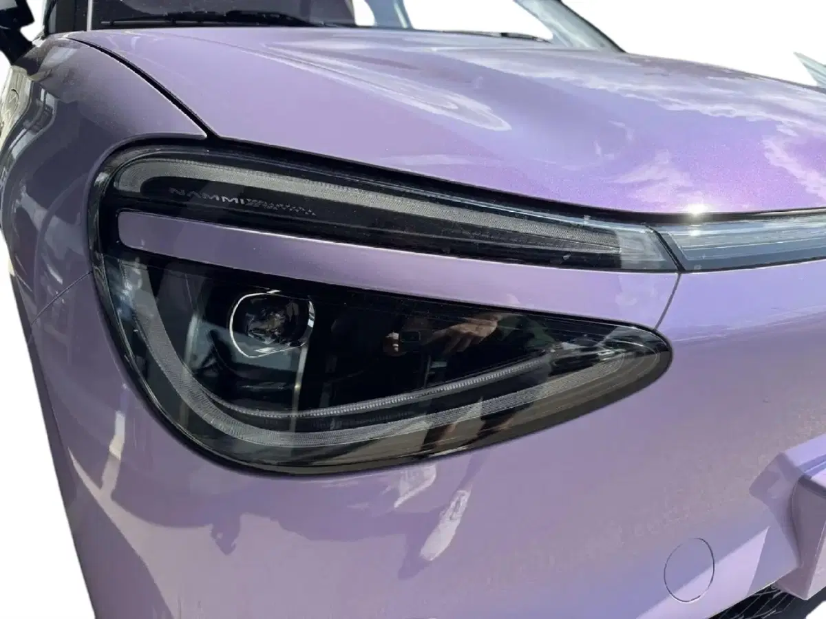Dongfeng Box  nuova a Frosinone (10)