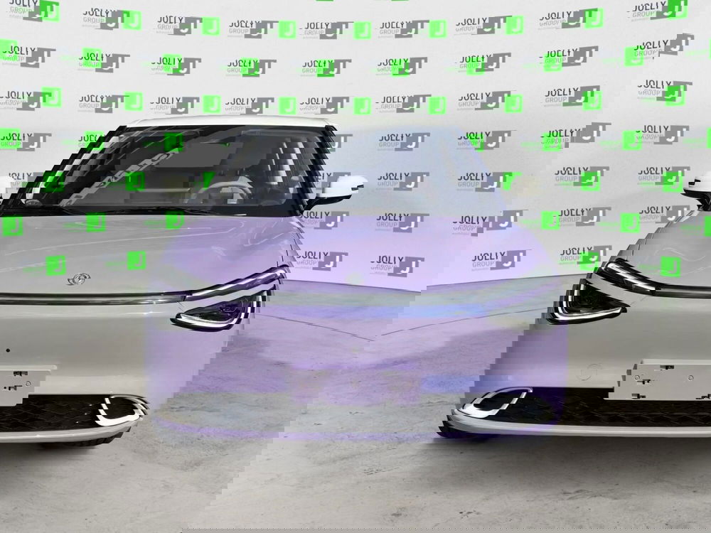 Dongfeng Box nuova a Frosinone (11)