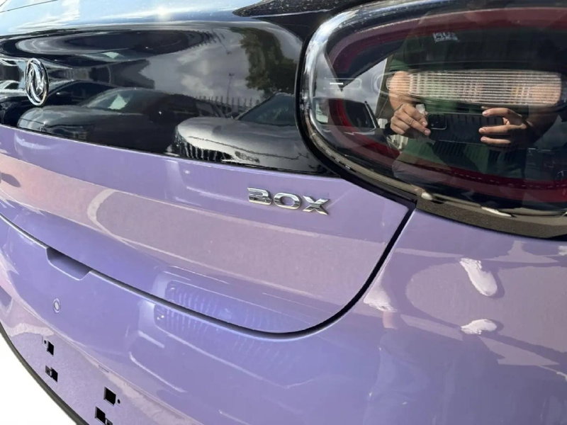 Dongfeng Box  nuova a Frosinone (3)