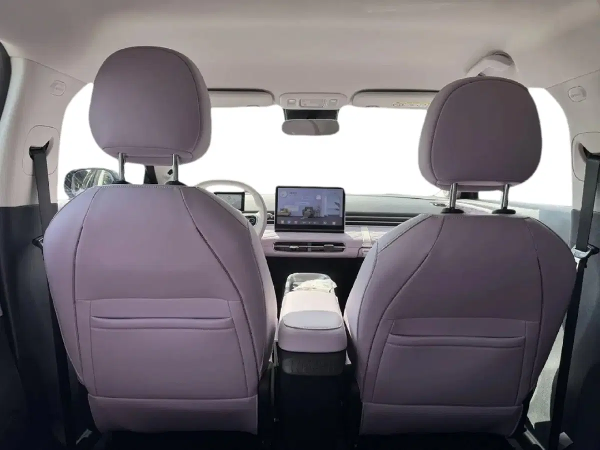 Dongfeng Box  nuova a Frosinone (4)