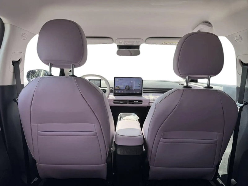 Dongfeng Box  nuova a Frosinone (4)