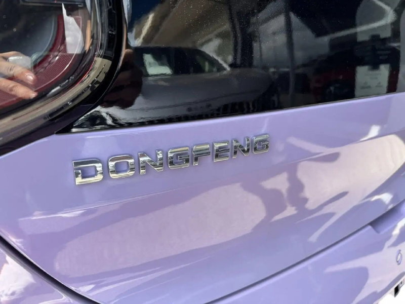 Dongfeng Box  nuova a Frosinone (6)