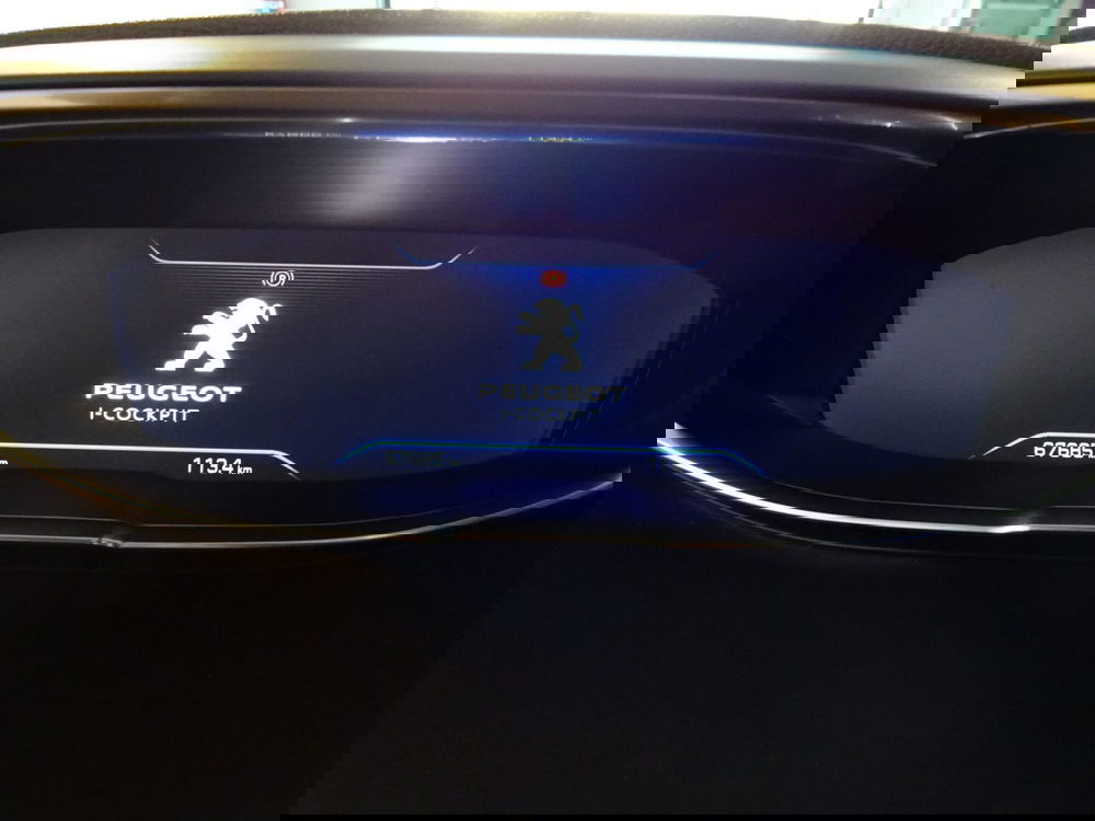 Peugeot 3008 usata a Lucca (11)