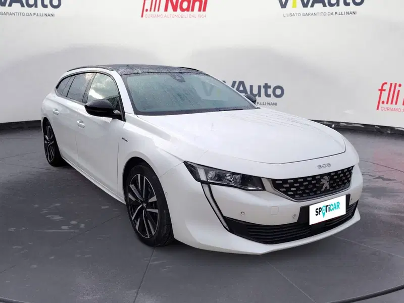 Peugeot 508 SW usata a Massa-Carrara (19)