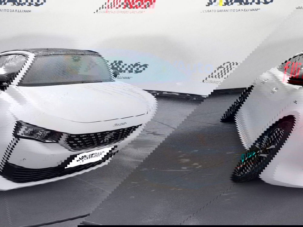 Peugeot 508 SW usata a Massa-Carrara (19)