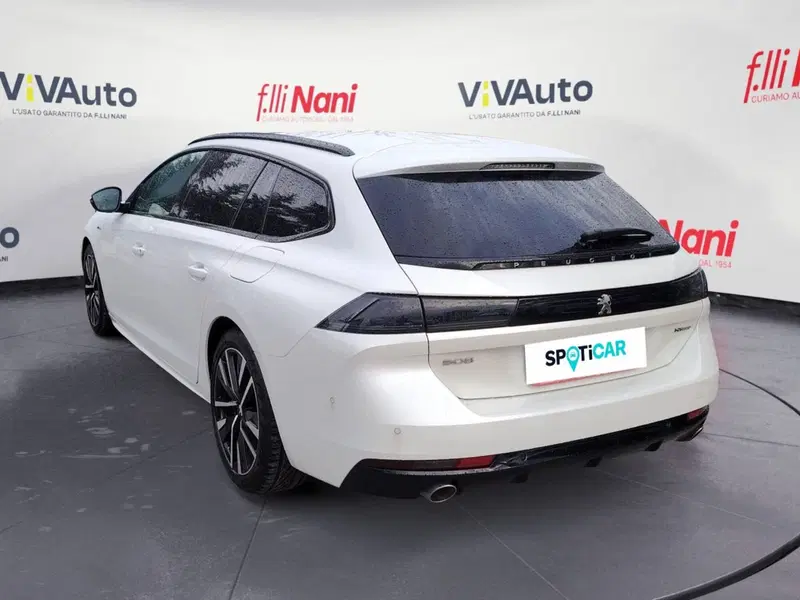 Peugeot 508 SW usata a Massa-Carrara (20)