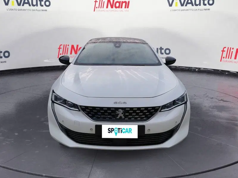 Peugeot 508 SW usata a Massa-Carrara (3)