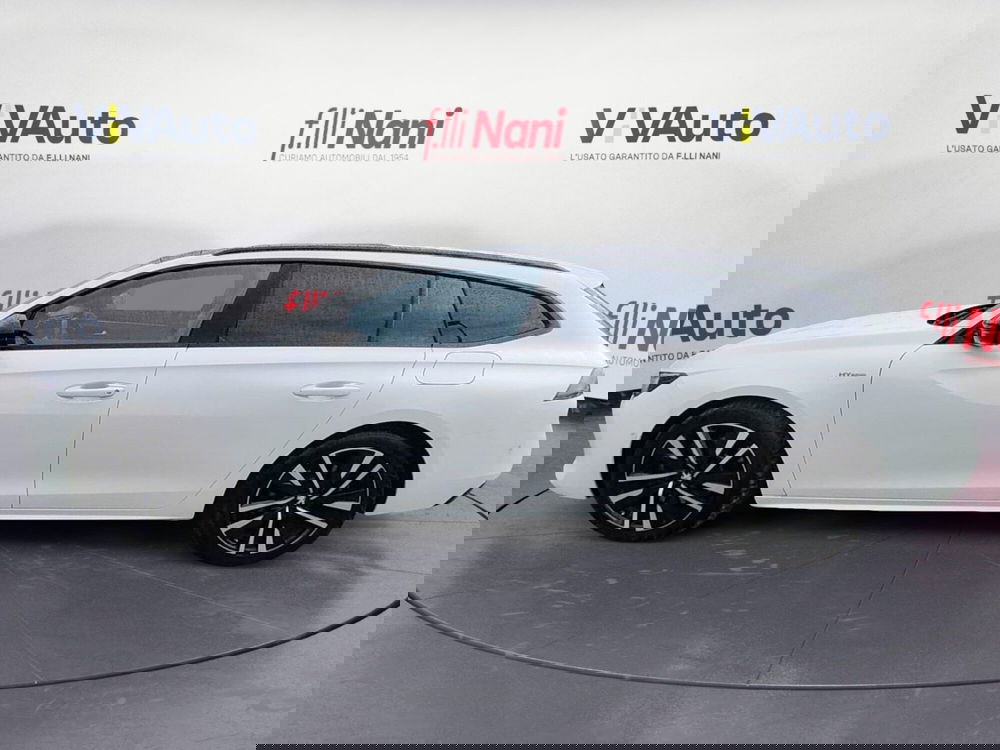 Peugeot 508 SW usata a Massa-Carrara (7)
