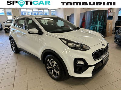 Kia Sportage 1.6 CRDI 115 CV 2WD Mild Hybrid Business Class del 2019 usata a Cortona