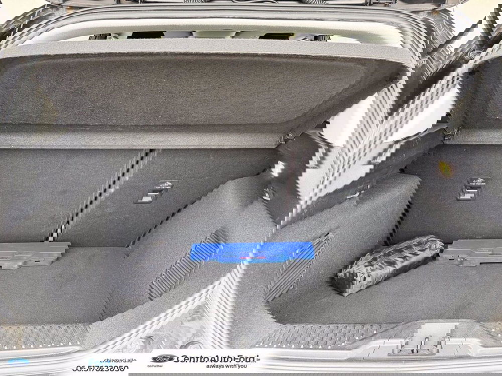 Ford Fiesta usata a Roma (11)