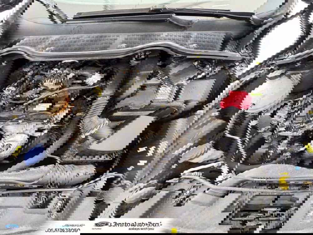 Ford Fiesta usata a Roma (12)