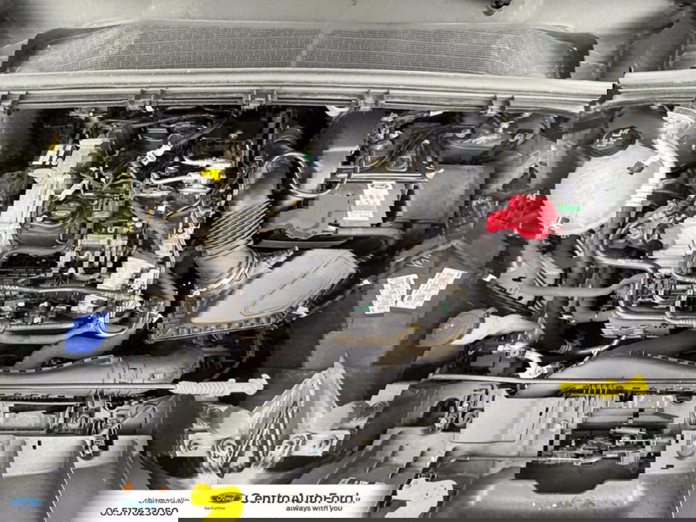 Ford Puma usata a Roma (13)
