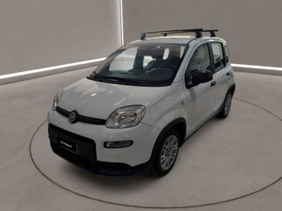 Fiat Panda Cross Cross 1.0 FireFly S&amp;S Hybrid del 2024 usata a Caltanissetta
