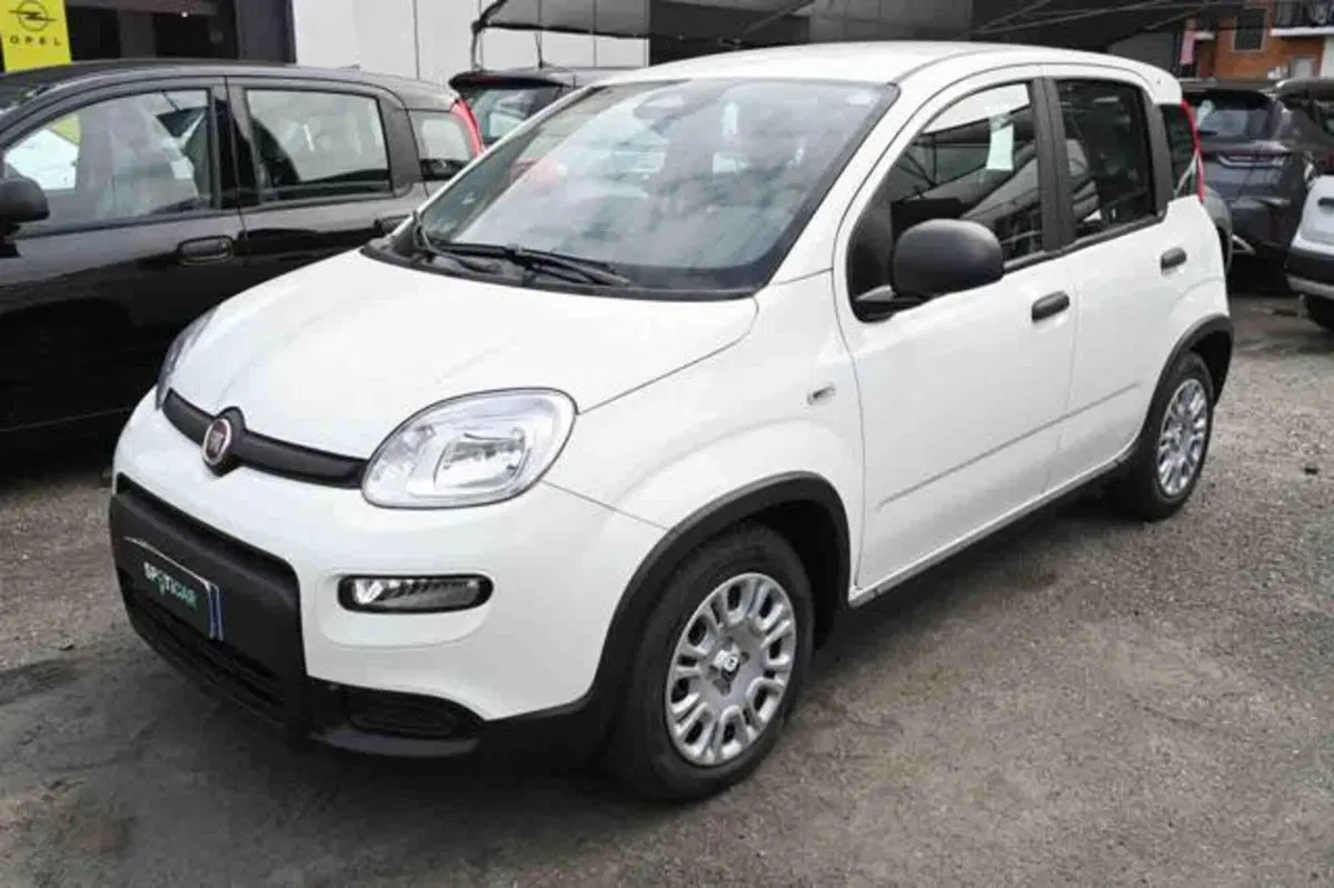 Fiat Panda nuova a Torino
