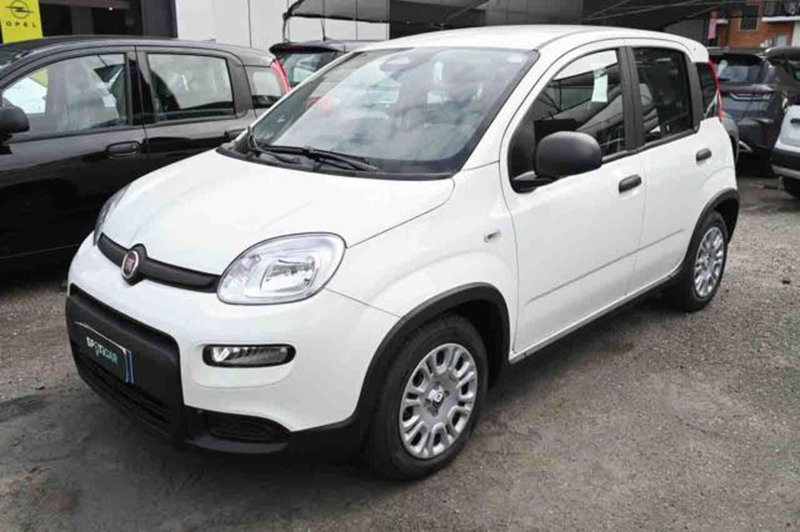 Fiat Panda nuova a Torino
