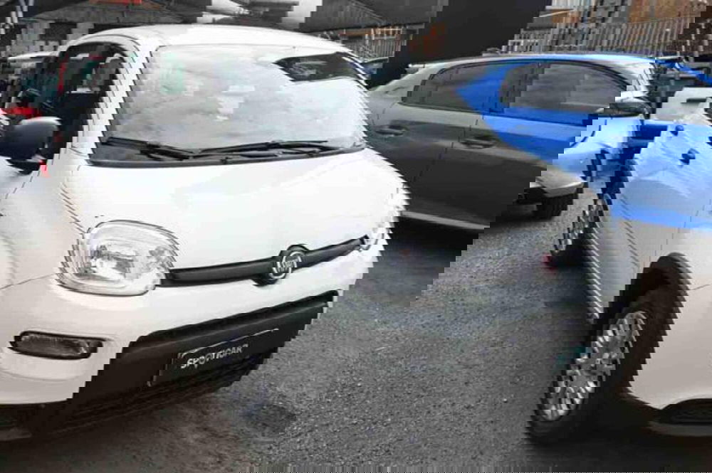 Fiat Panda nuova a Torino (2)