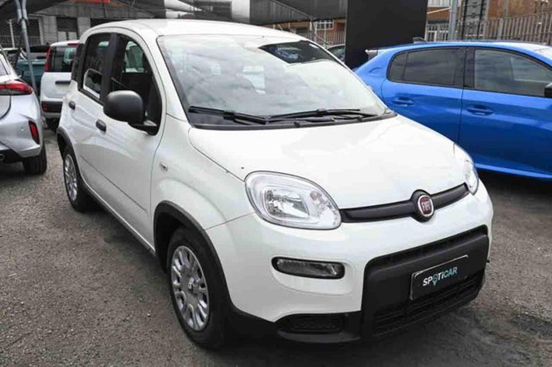 Fiat Panda nuova a Torino (2)